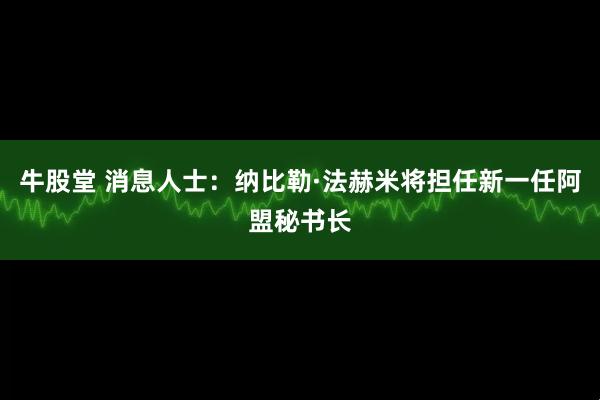 牛股堂 消息人士：纳比勒·法赫米将担任新一任阿盟秘书长